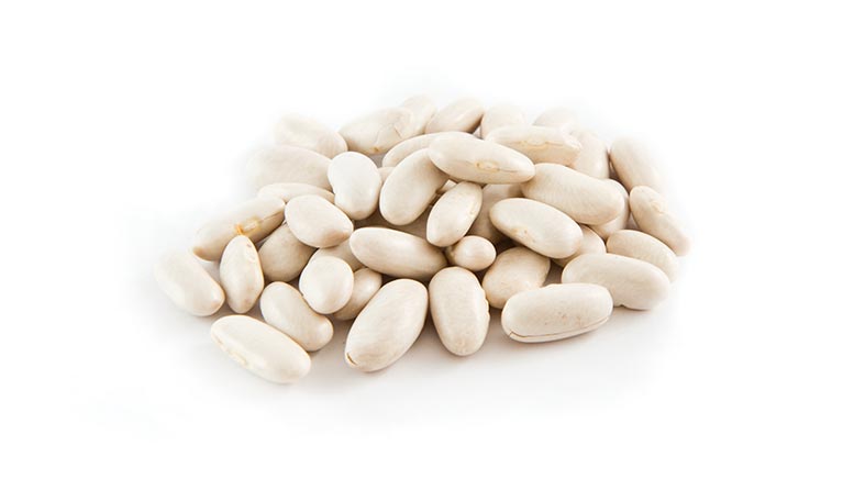 BIO FIZOL CANNELLINI PEDON