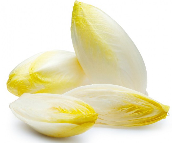 BELGIJSKA ENDIVIJA FR