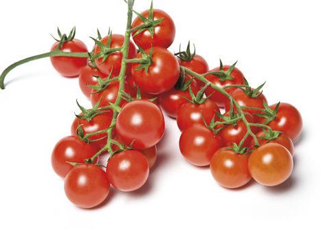 BIO PARADIZNIK CESNJEVEC