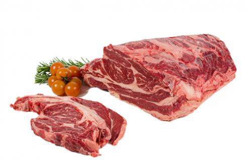 ZAREBRNICE ODR GOV 800 FR VAKUUM