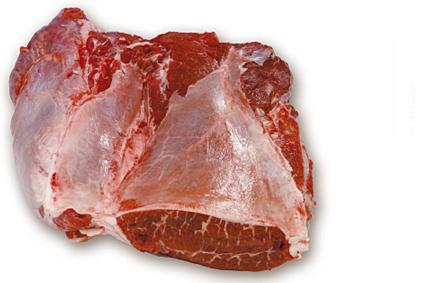 BIO TANKO PLECE ODRASLO GOVEDO FR