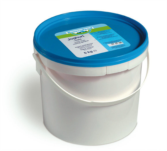POLNOMASTNI NAVADNI JOGURT