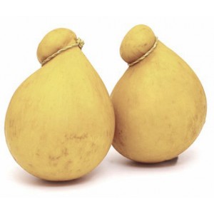 SIR KACKAVALJ AGNONE