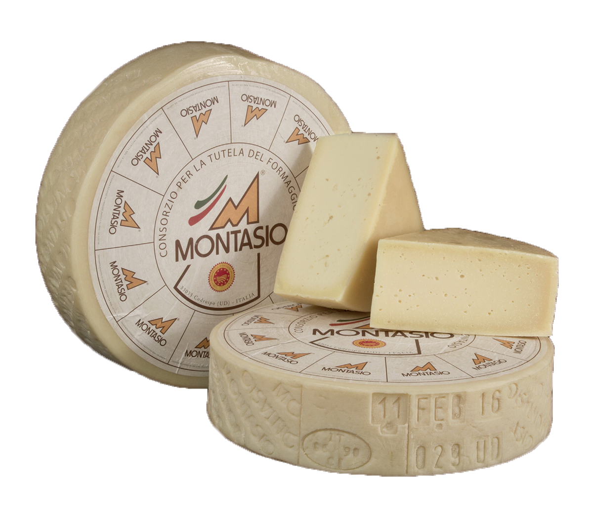 SIR MONTASIO 60 DNI ZOP