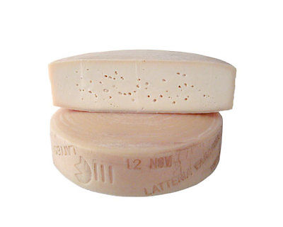 SIR LATTERIA FAGAGNA