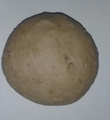 KROGLICA ZA PIZZO 7 ZIT ZAMRZNJENA