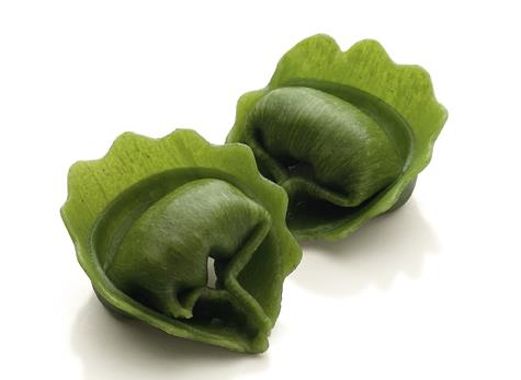 ZELEN TORTELONI SIR FOSSA CANUTI