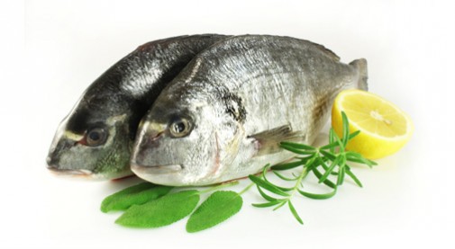 CELA ORADA OCISCENA 300 -400 IQF