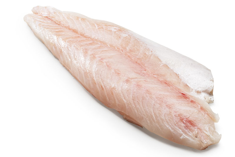 FILEJI JUZNOAFRISKEGA OSTRIZA B/K