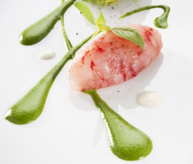 TARTARE RD KOZICE (dr nasekl) MEDIP