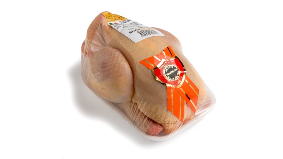 PETELINC VALLESPLUGA SCUDETTO ROSSO