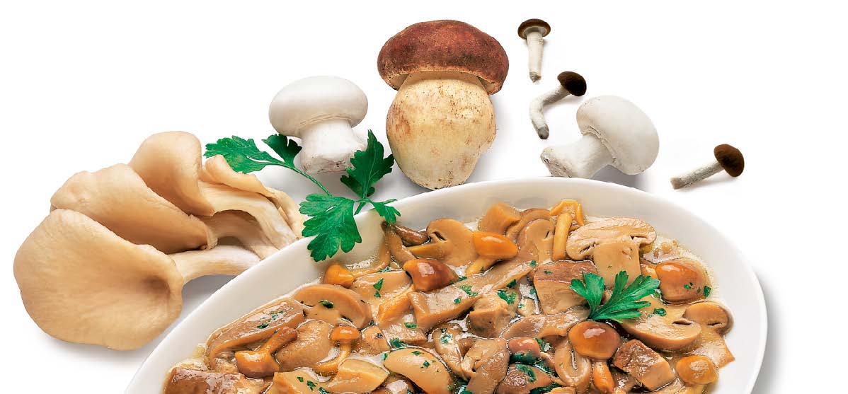 PRIPR GOBJA MESANICA IQF SURGENUIN