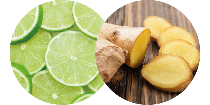 SORBET LIMETA IN INGVER MATTEO