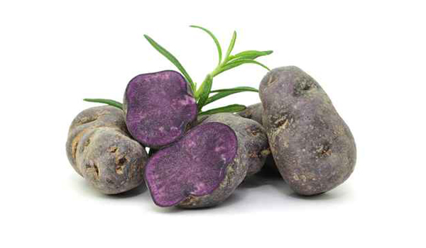 VIJOLICASTI KROMPIR FR