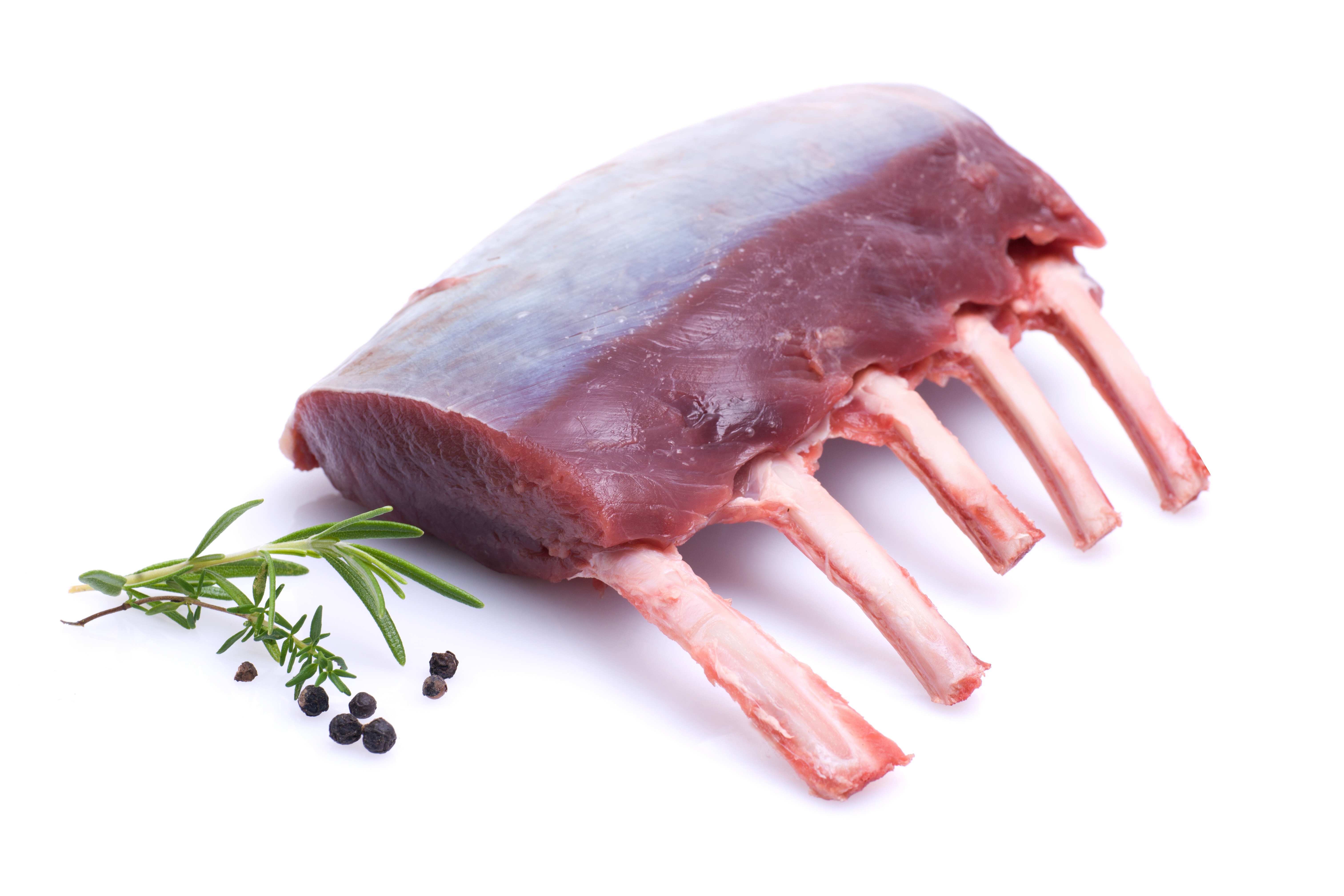 JELENOVA REBRA F. RACKS ZAM.