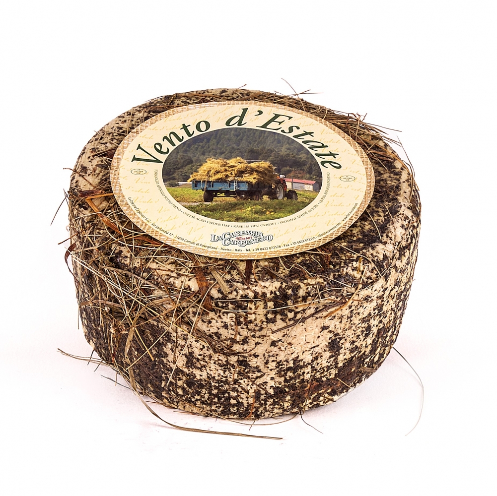 SIR VENTO D'ESTATE VAK. P. CARPENEDO