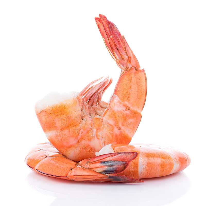 KOZICE REPKI Z LUPINO C1 ZAM. NA LADJI I