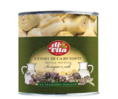 ARTIcOKE SRcKI V SLANICI DI VITA