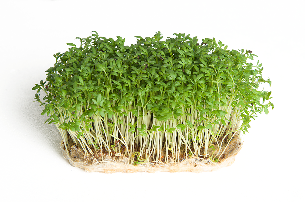 FLORIAMO BIO KRESA FINA MIX COL