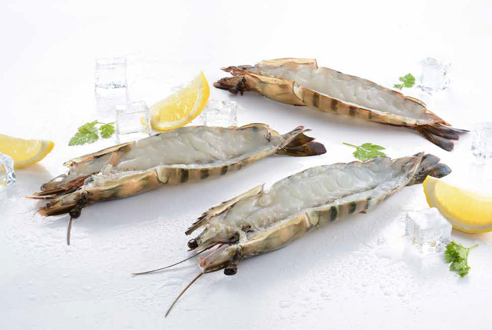 YAKI KOZICE IQF P WEST