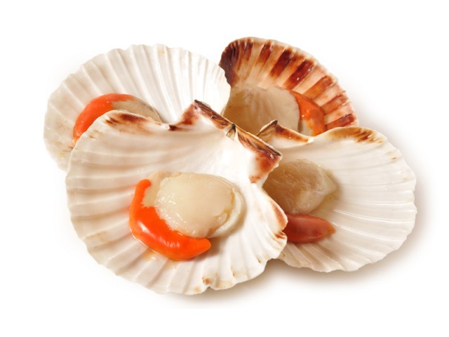 MALE POKROVACE POL LUPINE 40-60