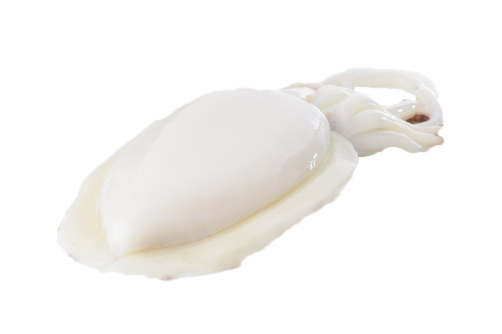 CELE SIPE OCISCENE 8 -12 TH IQF