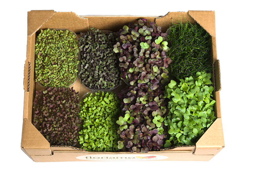 FLORIAMO BIO KRESA SAVORY MIX