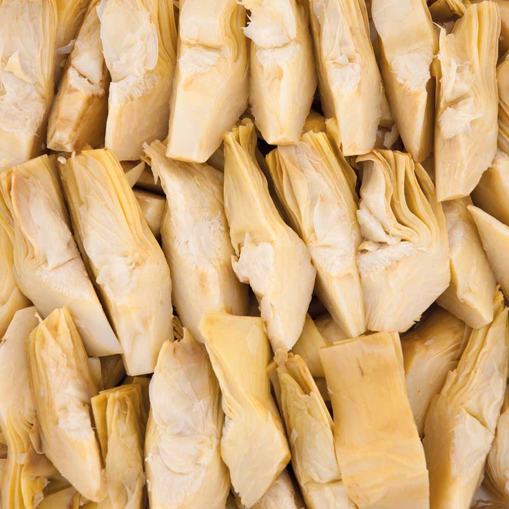 ARTIcOKE V KOScKIH V SLANICI ALFI