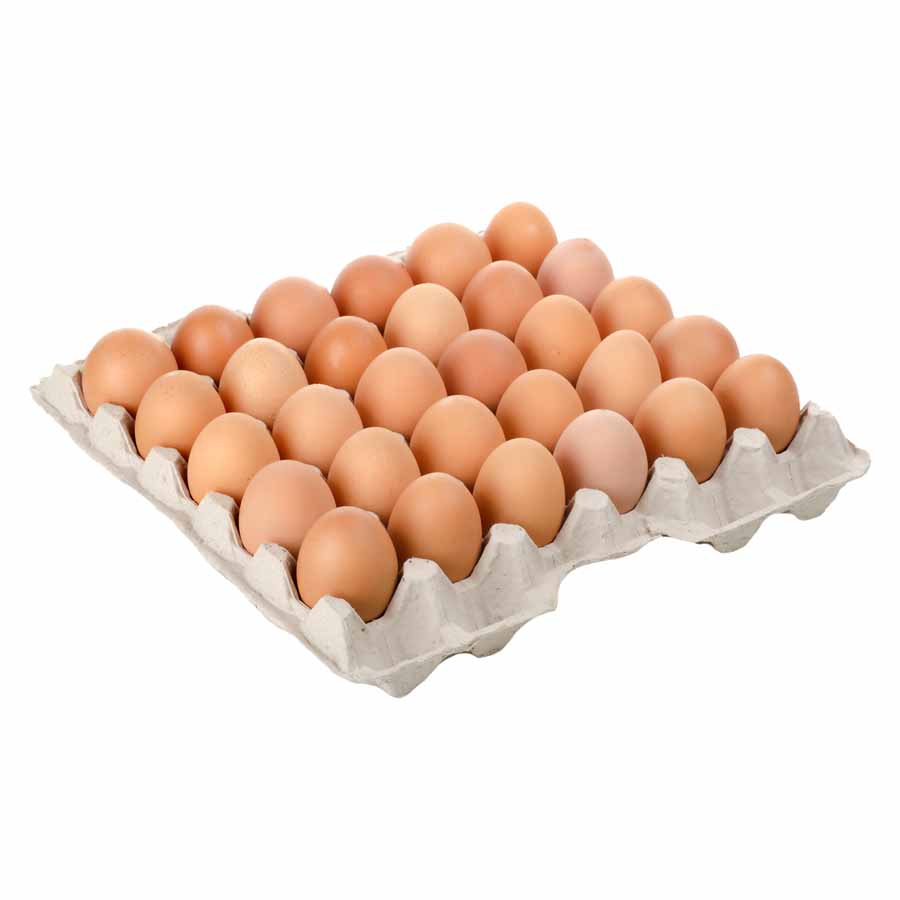 SREDNJE VEL. JAJCA SPECIAL EUROVO