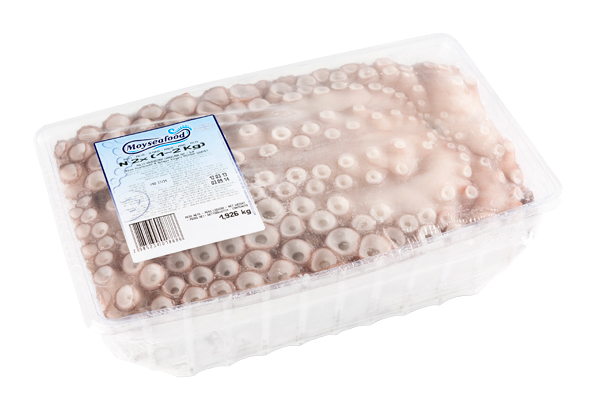 HOBOTNICA (1000-2000) PREMIUM