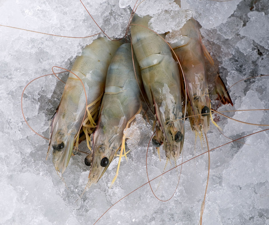 MODRE KOZICE 21-25 IQF