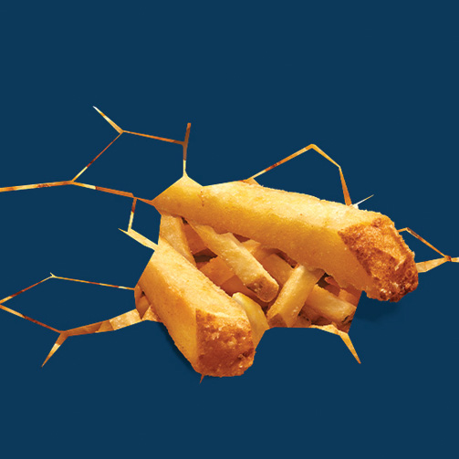 KROMPIR REALLY CRUNCHY 9X9 SKINON LW